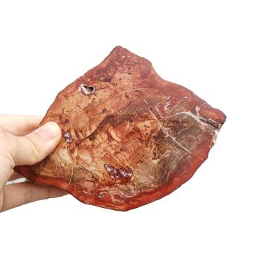 China Wholesale Gifts Natural Crystal Souvenir China Petrified Wood Crystal Crafts Petrified Wood Slab For Home Decoration for sale