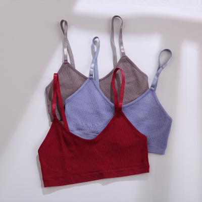 China Fashionable QUICK DRY teenage wire free bra ribbed adjustable strap cotton seamless yoga vest unpadded active wear fitness bra for sale