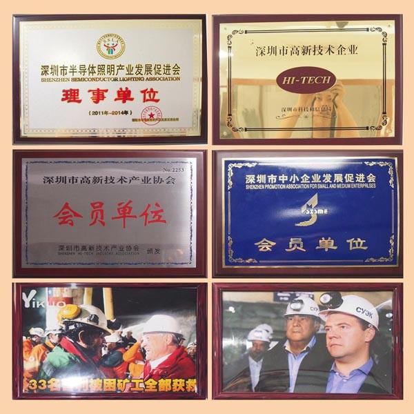 Verifizierter China-Lieferant - Golden Future Enterprise HK Ltd