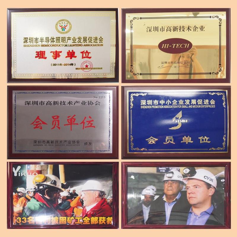 Verifizierter China-Lieferant - Golden Future Enterprise HK Ltd