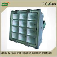 China DC 36V Induction 60 Watt Led Canopy Lights For Gas Station IP65 Aluminum Cool White 5500K for sale