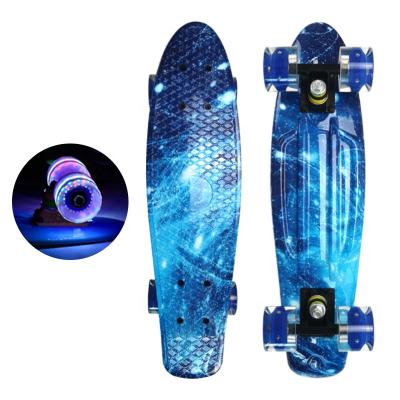 China New Style Youth Small Plastic Fish Board Single Rocker Skateboard With Lightweight Wheels For Adults Kids Mini Skateboard 22inch for sale