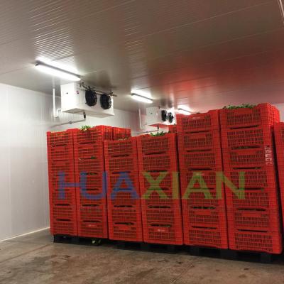 China Outdoor Compressor Condenser Refrigeration Unit Cool Room Style Potato/Onion/Vegetable Cold Storage for sale