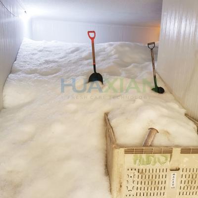 China 1~100 Ton Container Walk in Freezer Type Flake Ice Storage Cold Room for Fish/Concrete Mixing/Ice Plant for sale