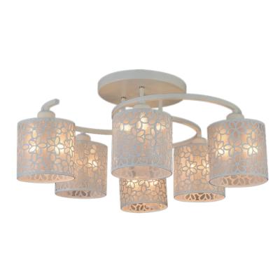 China Home Fancy Lights of Home Ceiling Lights for Living Room from HuiPu Lighting for sale