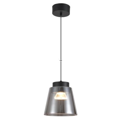 China 2022 European Modern Smoke Lamp Fashion LED 20W Gray Glass Pendant Hanging Lamp For Dining Kitchen Bedside for sale