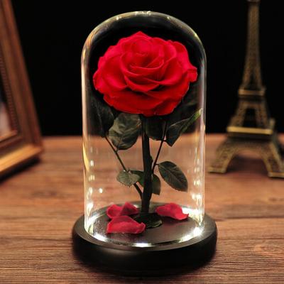 China Real Rose Flower Eternal Blossom With Led Light Preserved Eternal Red Roses Flower In Glass Dome For Girl Woman for sale