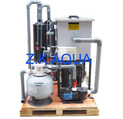 China Crab farming factory direct sale mud crab house ras farming water filter system for sale