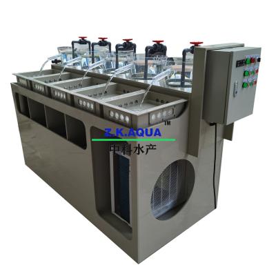 China Fish hatchery tilapia and catfish egg incubator fish egg incubation on sale for sale