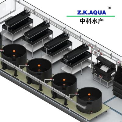 China Fish Farm / Aquaculture Factory Sale Ras Fish Hatching System for sale