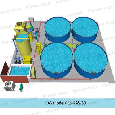 China High Density Indoor Aquaculture Fish Farming Equipment Fish Farming RAS Fish Farming Solution For Jade Perch for sale