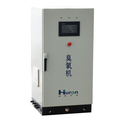 China Other Integrated Oxygen Concentrator and Air Compressor 10g-500g Ozone Water Purifier Price for sale