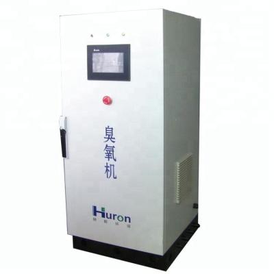 China Industrial food and vegetable processing ozone sterilizer for vegetable and fruit ozone seal ozone sterilization system for sale