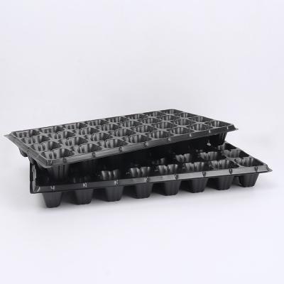 China Eco-friendly bonsai seedling cabbage planting seedling succulent succulent tray for sale