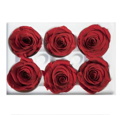 China The most popular high quality INS decorative ever lasting decorative preserved rose grade A grade of celebration 5-6cm for sale