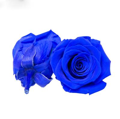 China Wholesale natural rose flowers preserved rose head for decoration 60*60*50cm for sale