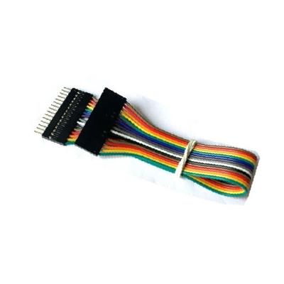 China Electronic Custom Male To Female Line Flat Ribbon Jumper Wire Cable 1P 2P 3P 10P 20P 30P 40P Dupont 2.54mm Breadboard Harness for sale