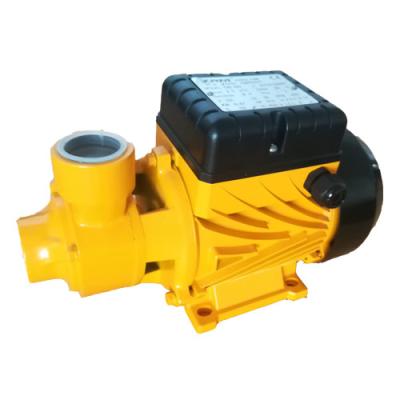 China Developing World Electric Domestic Water Solutions 220V 0.75hp 1HP Water Pump for sale