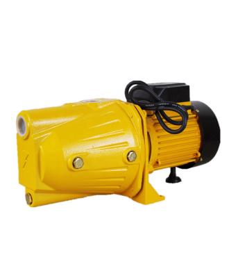 China World Developing Water Solutions 1HP Self-Priming Pump With Copper Motor for sale