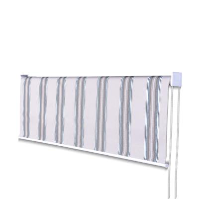 China Easily Assembled Manual Awning Drop Screen For R09 for sale