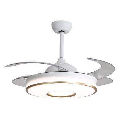 China Decorative Retractable Ceiling Light Vintage Designer Bedroom Fancy Modern Chandelier Remote Control Led Ceiling Fans With Light for sale