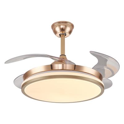 China Modern Decorative Retractable Chandelier Vintage Bedroom Fancy Ceiling Light Remote Control Led Ceiling Fans Designer for sale