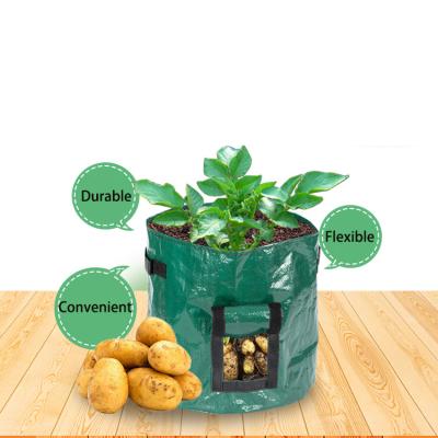 China Promotions Durable Garden Tool Planting Care UV Green Plastic PE Grow Bags 3 15 Gallon For Vegetable for sale