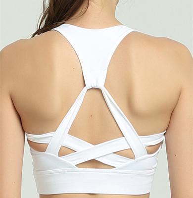 Cina il reggiseno in bianco di sport delle donne progetta il reggiseno per il cliente su ordinazione di sport dello spazio in bianco in vendita