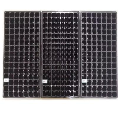 China Eco-Friendly Wholesale Plastic  200 cells seeding trays Nursery Plug Trays for sale