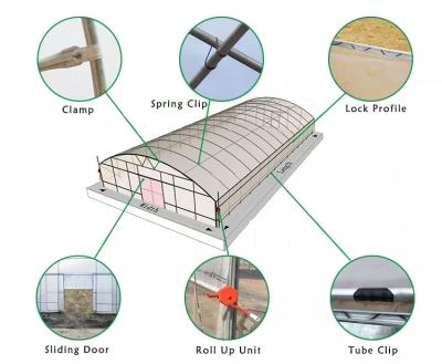 China Easy to install Hot sale galvanized steel frame tunnel greenhouse singe span plastic film greenhouse for agriculture vegetables plant for sale