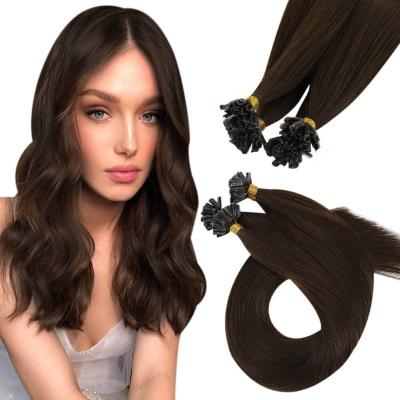 China Factory Direct Salon Quality Straight Virgin Hair #4 Brown Color U Tip Hair Extension European Hair for sale