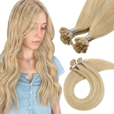 China 16P22 Straight Good Quality Piano Color U Tip Hair Extension European Hair Extension Hair for sale