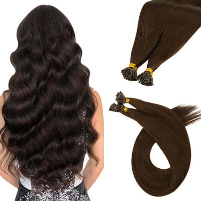 China Factory direct salon quality straight I tip hair European #4B Brown color me tips hair extension hair for sale