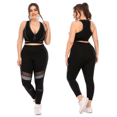 China Antibacterial Wholesale Women Plus Size Black Sports Bra Gym Fitness Yoga Pants Wear for sale