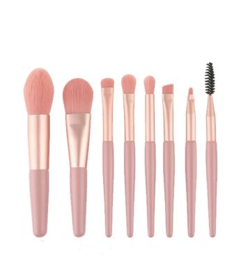 China Hot Sale 8PCS Durable Mini Makeup Brushes, Portable Private Label Eye Shadow Makeup Brush Set For Gift for sale