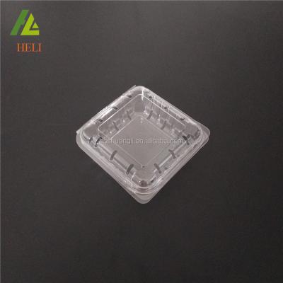 China High Clamshell Packaging Disposable Clear Blueberry Container for sale