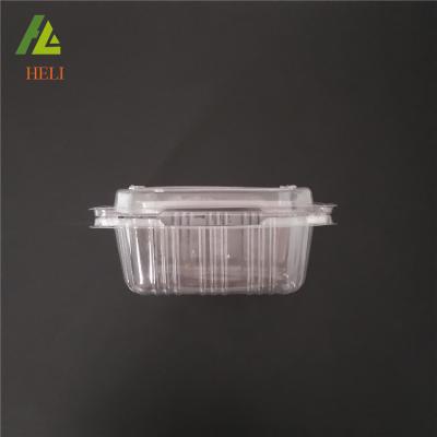 China Disposable Fruit Packing Box For Blueberry Transparent Clamshell Plastic Disposable Food PET Customized Clearly Transparent Packaging Items for sale