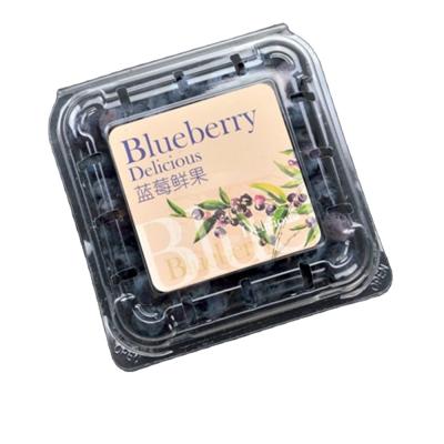 China Disposable Custom Clear Transparent Plastic 125g Blueberry Packaging Box for sale