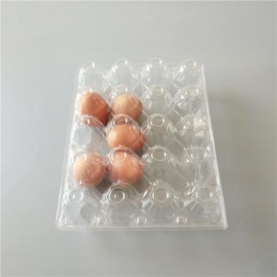 China Disposable Plastic Egg Tray 24 Holes Disposable Egg Tray for sale