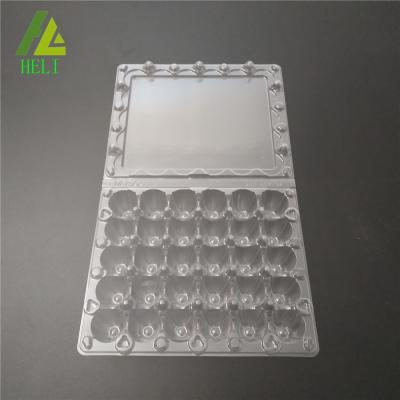 China 30 Holes Disposable Egg Tray For Packing And Transport Plastic Quail Egg Tray for sale