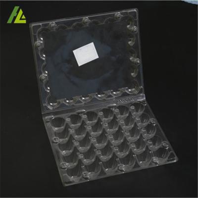 China 24 Holes Disposable Clear Plastic Pet Quail Egg Boxes for sale