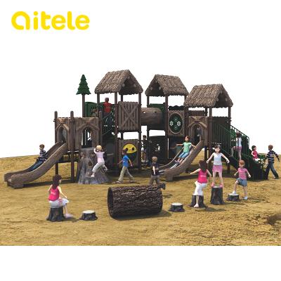 China 2-12 Supplier Professional Children Playground Equipment Amusement Park Products With Slide for sale