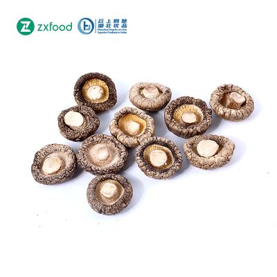 China Suizhou New Best Price 2021 Dried Mushroom Factory for sale