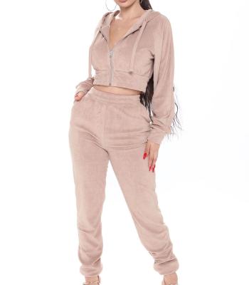 China Breathable Women 2Pcs Velor Zippered Tracksuit Velor Lounge Wear Sweatshirt Pant Jogger Set Tracksuit Set Women for sale