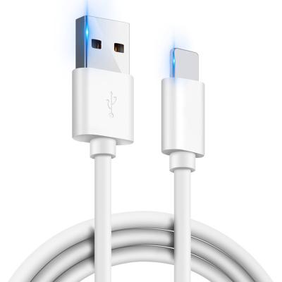 China Mobile Phone Etc.electronic Product New Arrival Fast Charging Mobile Phone Data Cable USB Charging Cable For iPhone for sale