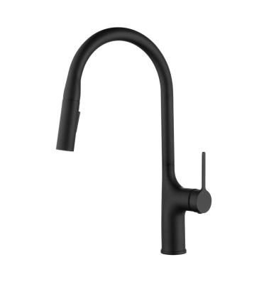 China Popular 2022 Matte Black Copper Single Handle Pull Out Spray Kitchen Faucet With Pull Down Sprayer for sale