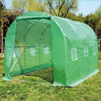 China Topgreen Eco Material PE Material Easily Assembled Foldable Flower Grow Greenhouse Tent Green House Metal Tunnel Walkway for sale