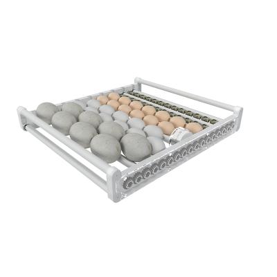 China Farms HHD Brand G54 54 Automatic Poultry Chicken Egg Incubator Machine for sale