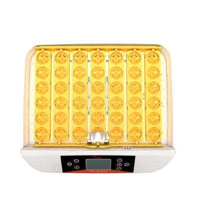 China Small Mini Automatic Chicken Egg Incubators Hatching 42 Egg Transparent Cover Karachi for sale