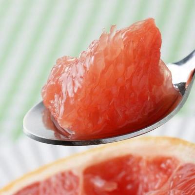 China New Product Canned Grapefruit Canned Pulp for sale